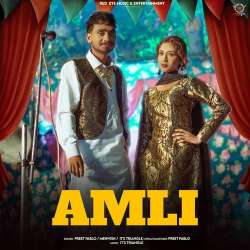 Amli - Preet Pablo