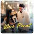 Work Permit(2 Numberi)