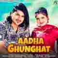 Aadha Ghunghat (Feat. Amit Saini Rohtakiya,Anjali Raghav)