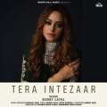 Tera Intezaar