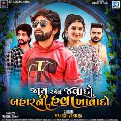 Jaay Aene Javado Baharni Hava Khavado - Mahesh Vanzara